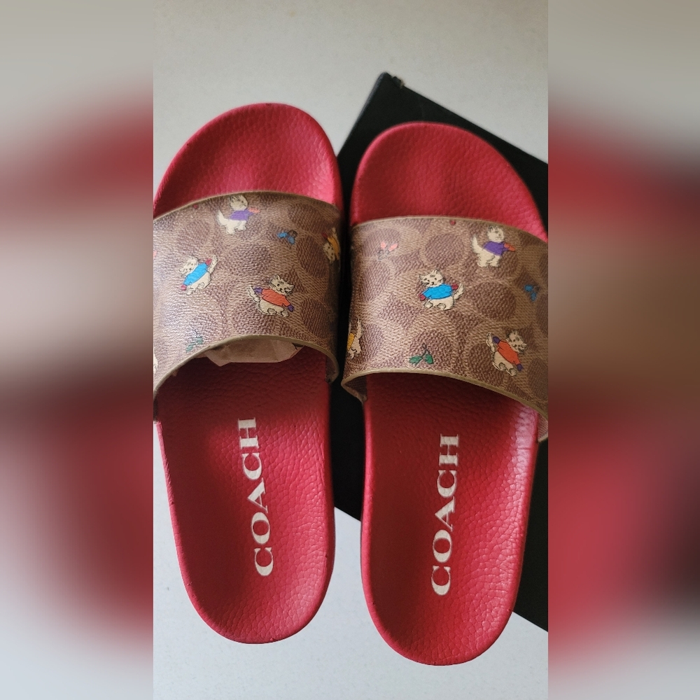 Coach Udele Printed Slides With Kittens!